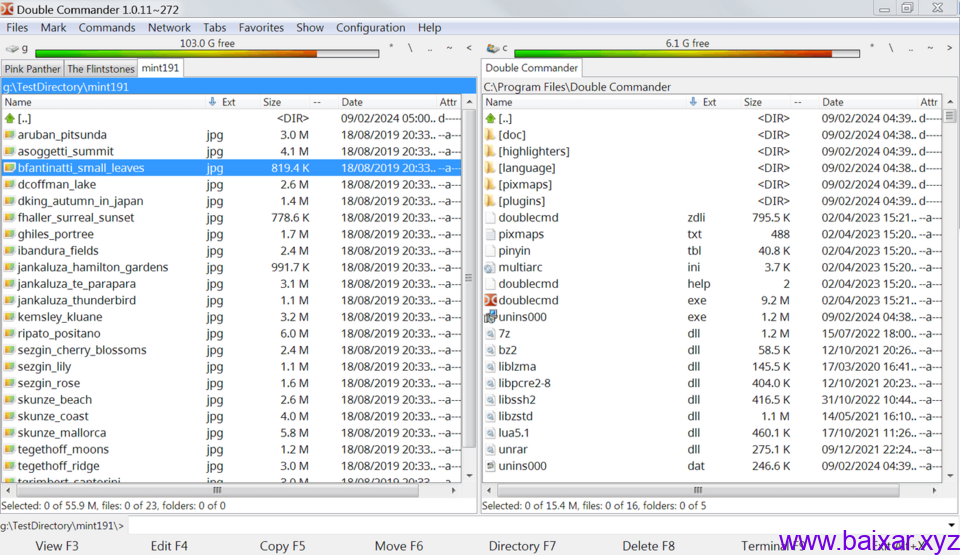 double-commander-screenshot