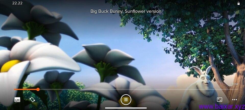 VLC Media Player em uso
